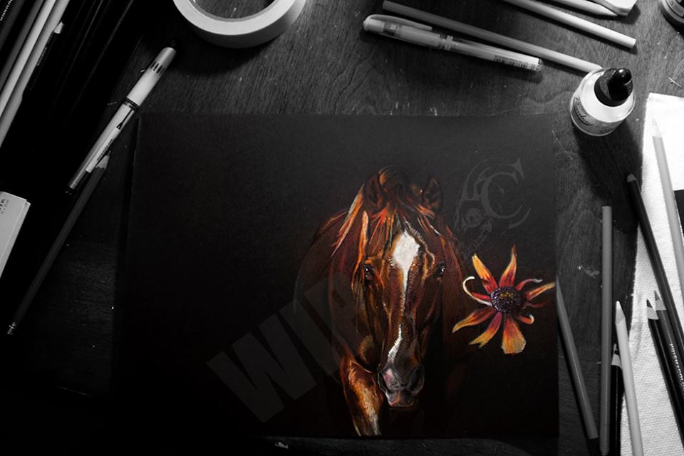 Cadienne Lorenz-Sundance.jpg