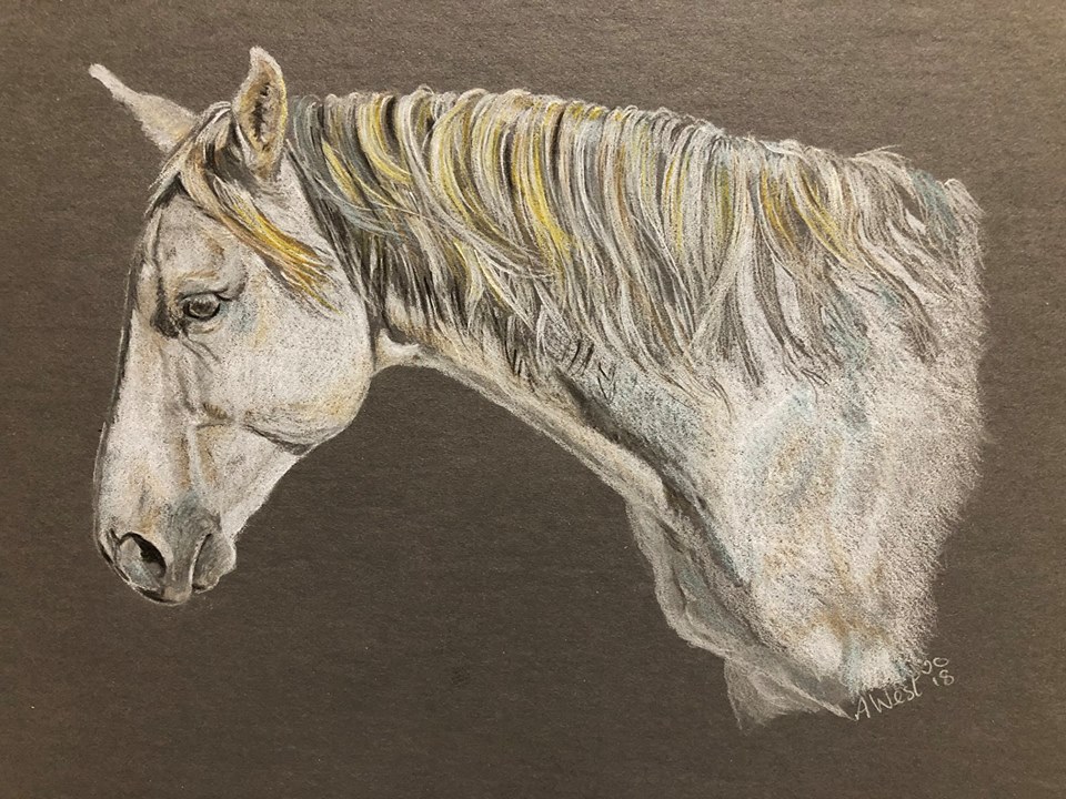 48963793_816030852061666_8311811339047665664_n