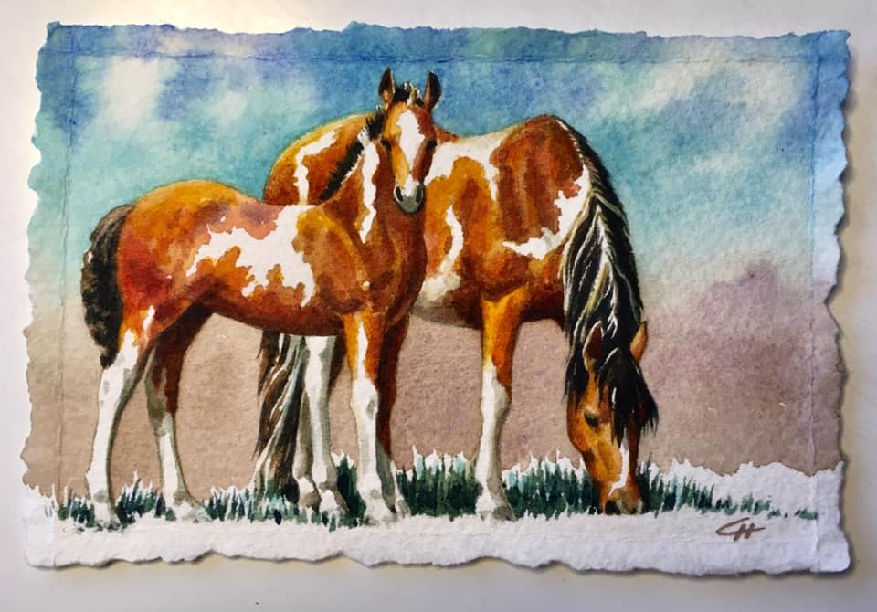 49111020_2180261058905742_3220250398459691008_n