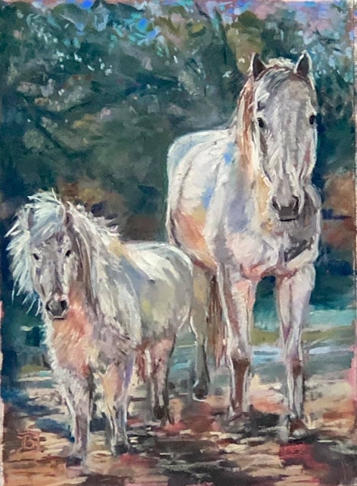 51080273_10157194111303826_3939591604460847104_n