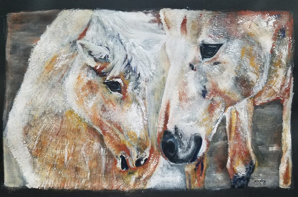 51511151_10216425736452468_1760462027538563072_n