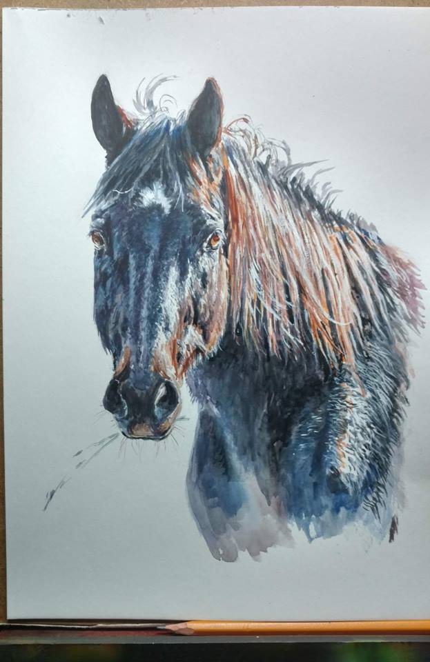 51769764_2037554829690429_8945765545777561600_n