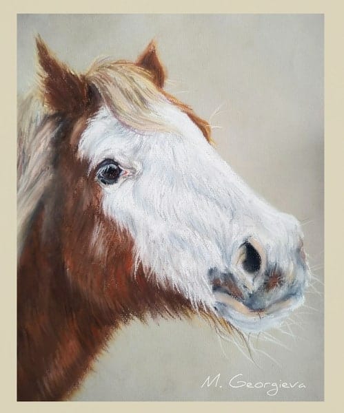 51904362_2584556888226700_6431202390292037632_n