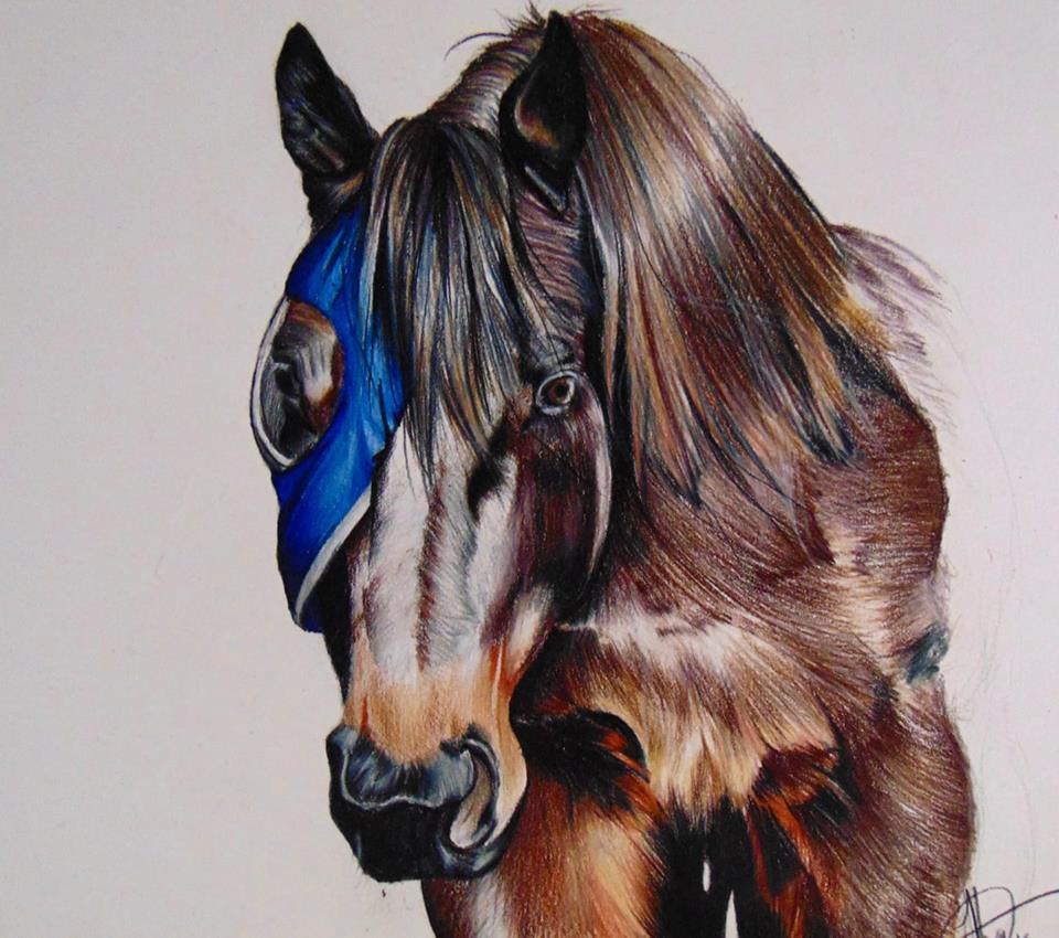 52297913_642344316185336_2547785792671973376_n