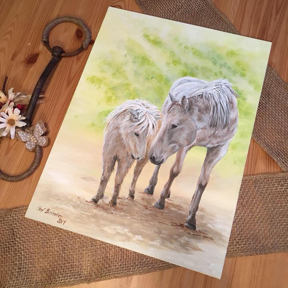 52498702_10156589593074219_2266875316397932544_n