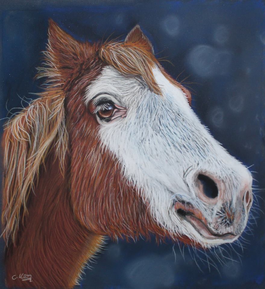 52590432_2267715313279129_8158481096774778880_n