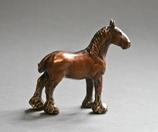 12240148_1038628259500962_6212040898271247310_n