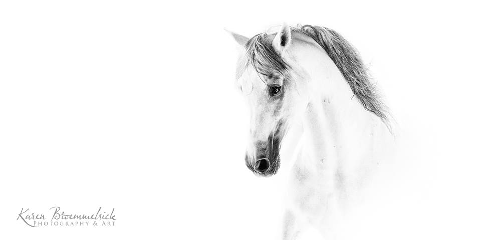 45340756_1991186064272300_5659629992514945024_n