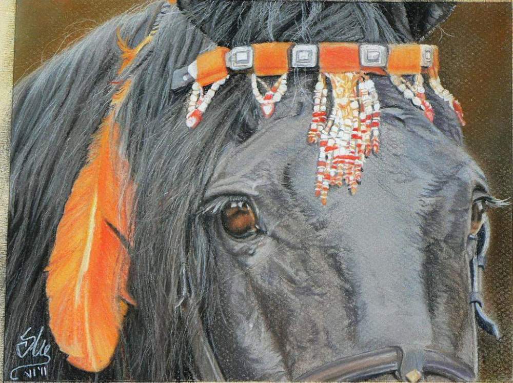 FB_IMG_1553788950042