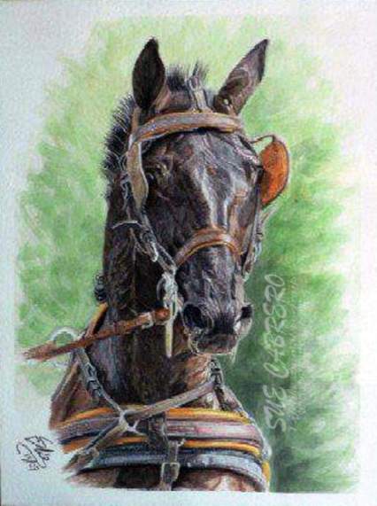 FB_IMG_1553789292181