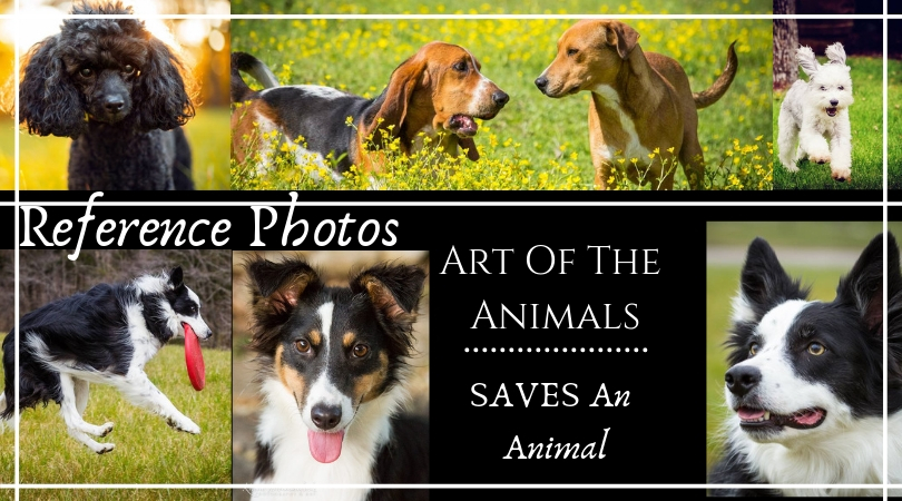 Refrence Photostos.jpg