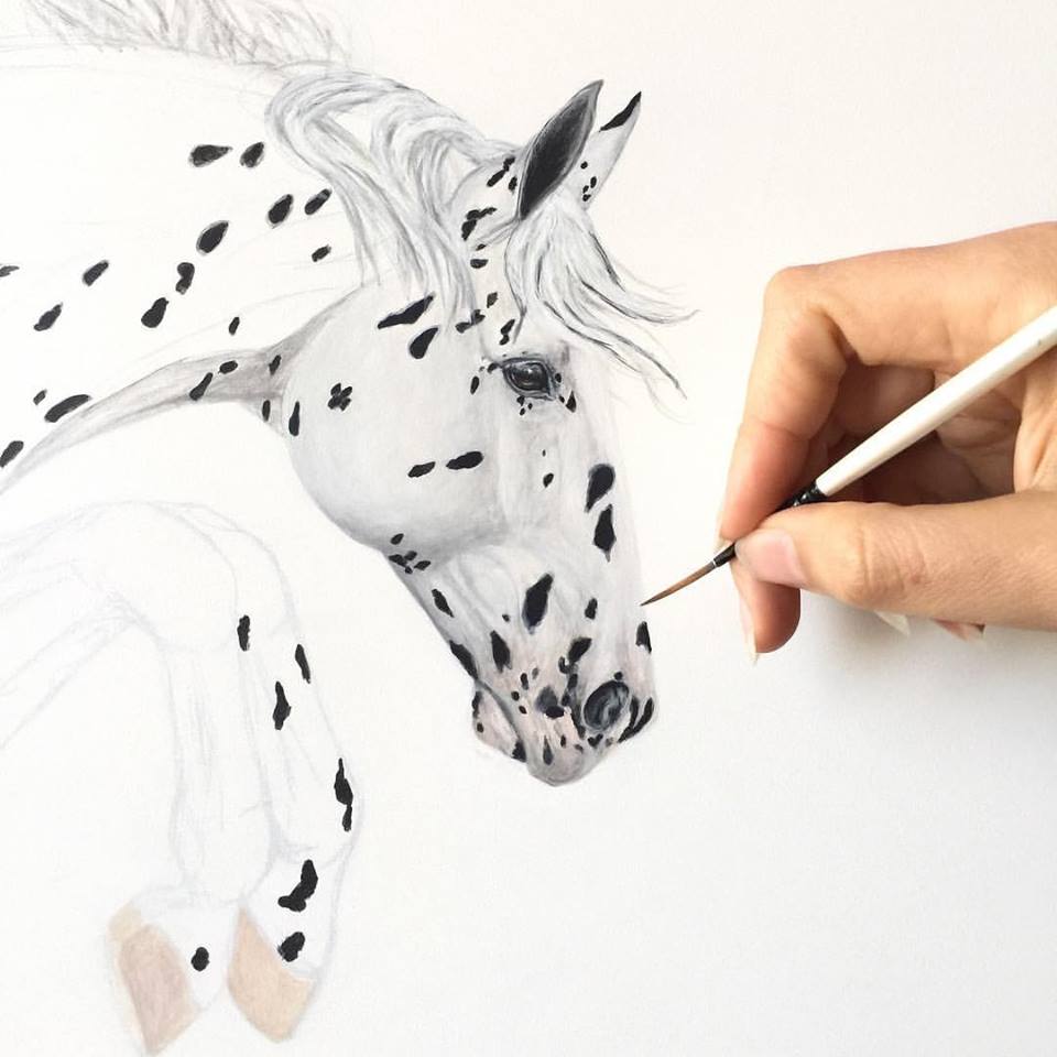 19105533_1778499845813703_935600292928802403_n