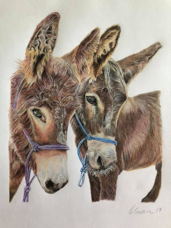 52001279_10217903217147162_2760271113433907200_n