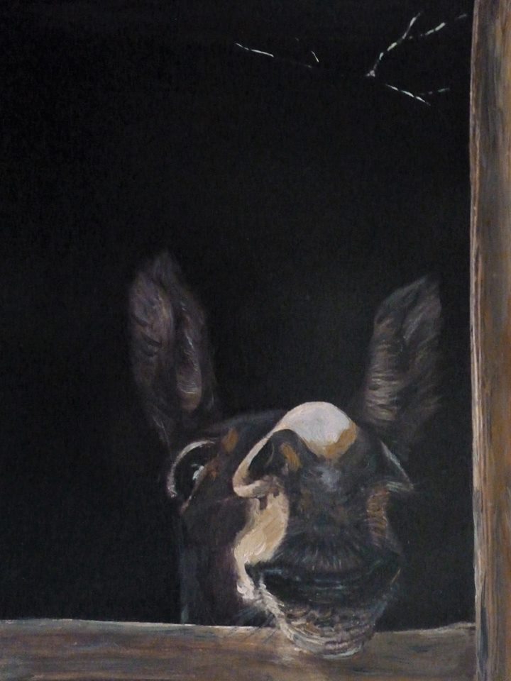 57462931_2277847352489462_5123652888979046400_n