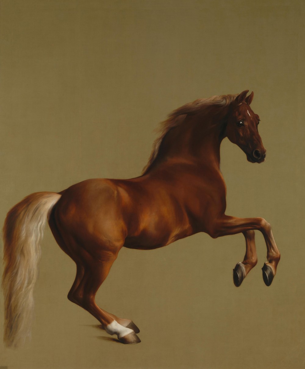 Whistlejacket_by_George_Stubbs_edit.jpg