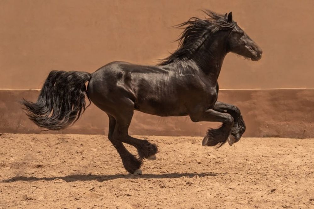 47135873_571190499996503_2160994279934481614_n